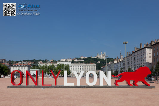 Lyon, Capitale des foulards en soie